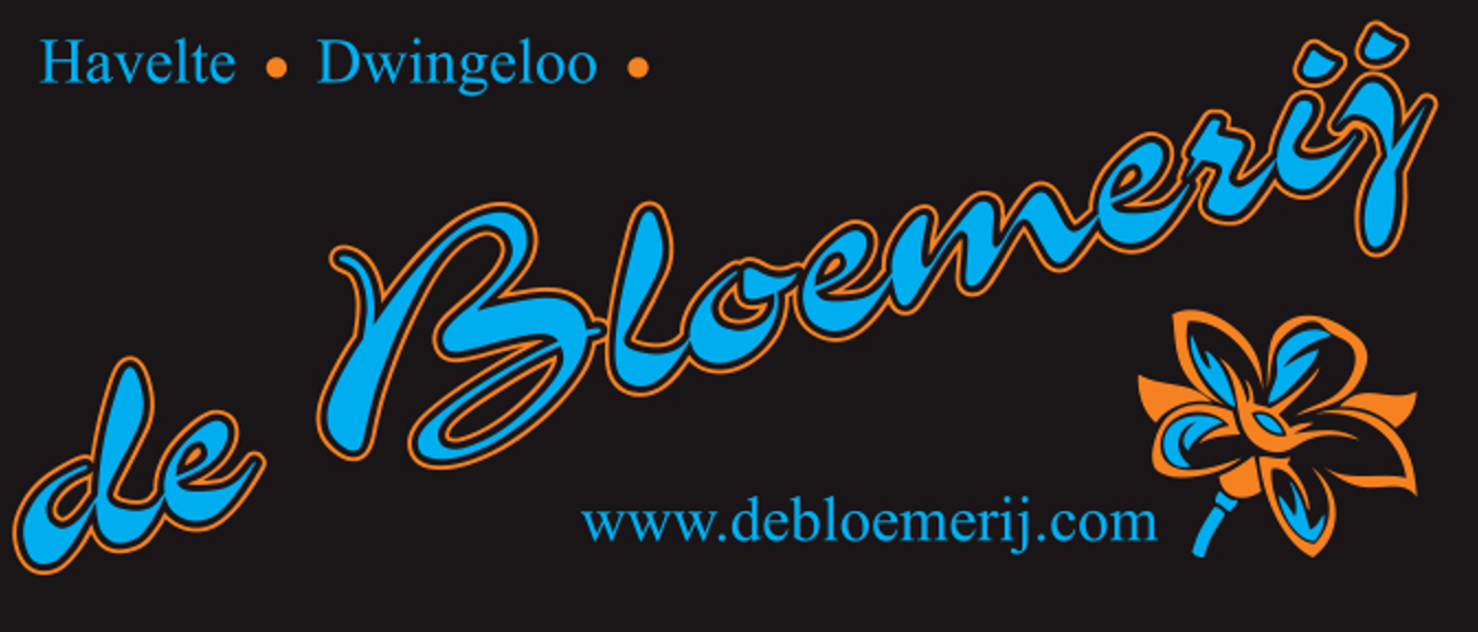 Logo zonder ruinerwold 1